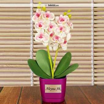 Персоналізована композиція рожевих міні-орхідей