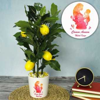 Personalized Large Sweetheart Mom Design Lemon Tree 60 cm